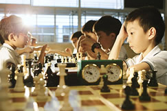 International Chess Club 国际象棋学会